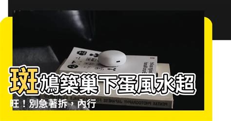 斑鳩築巢下蛋風水|獨家／家中鳥類築巢風水好？江柏樂曝「八大病體」駁：明明是人。